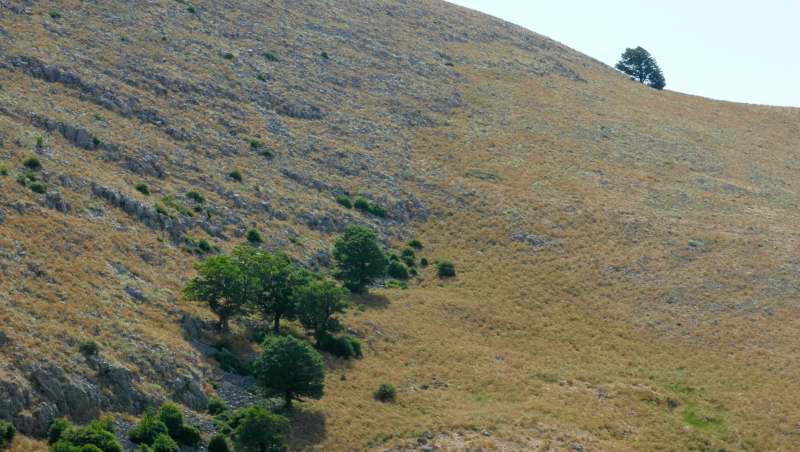 Un giro per le Madonie